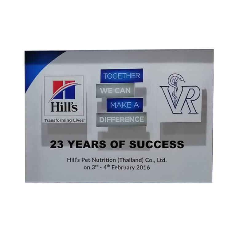 23 Years Of Success